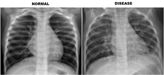 Архитектура сети